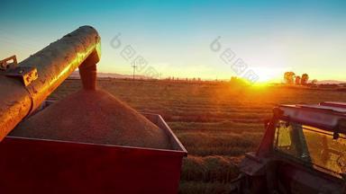 农业概念日落收获种子倒机械转移收获拖拉机容器索尼拍摄